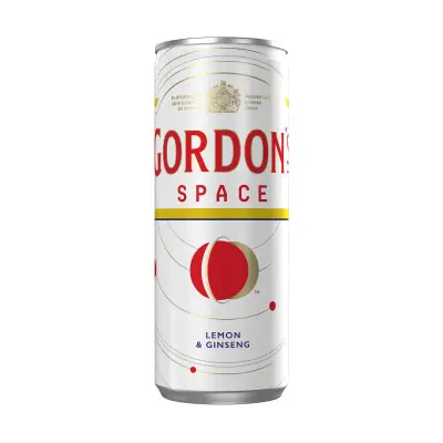 GORDON_S Space 250ml