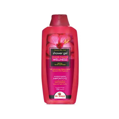 MR.GRAND Αφρόλουτρο Wellness 750ml