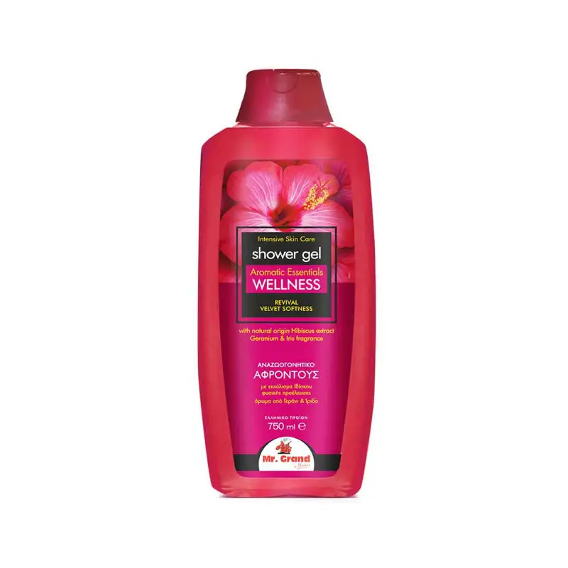 MR.GRAND Αφρόλουτρο Wellness 750ml